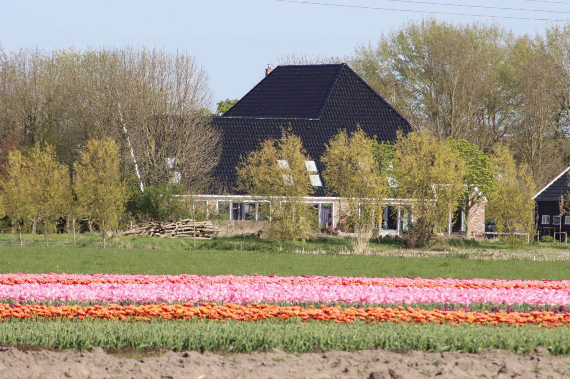 B&B Heeringhuusen Haringhuizen Exteriér fotografie
