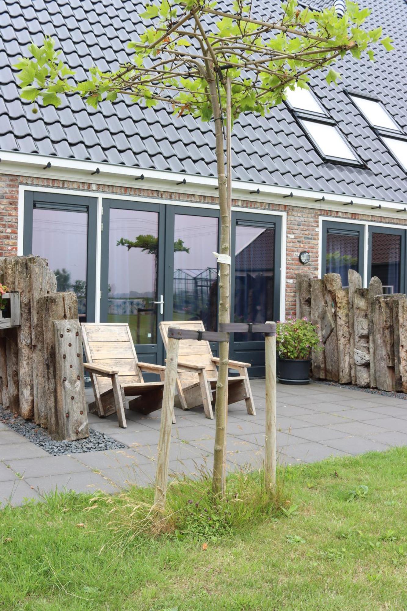 B&B Heeringhuusen Haringhuizen Exteriér fotografie